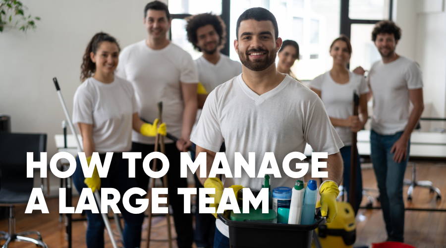 How to Manage a Large Team