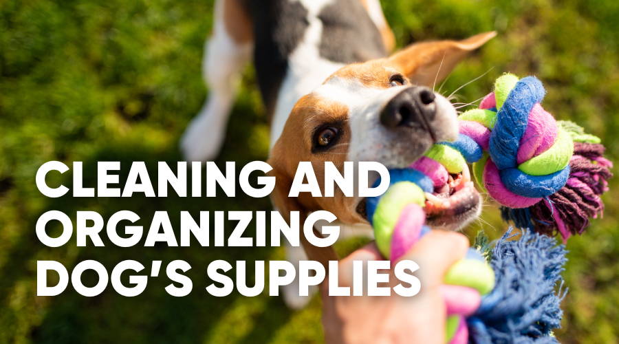 How to Clean and Organize Dog's Supplies