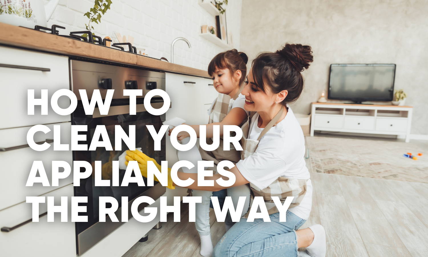 How to Clean an Oven, Refrigerator, Stove Top, Oven Hood, and Dishwasher the RIGHT WAY!