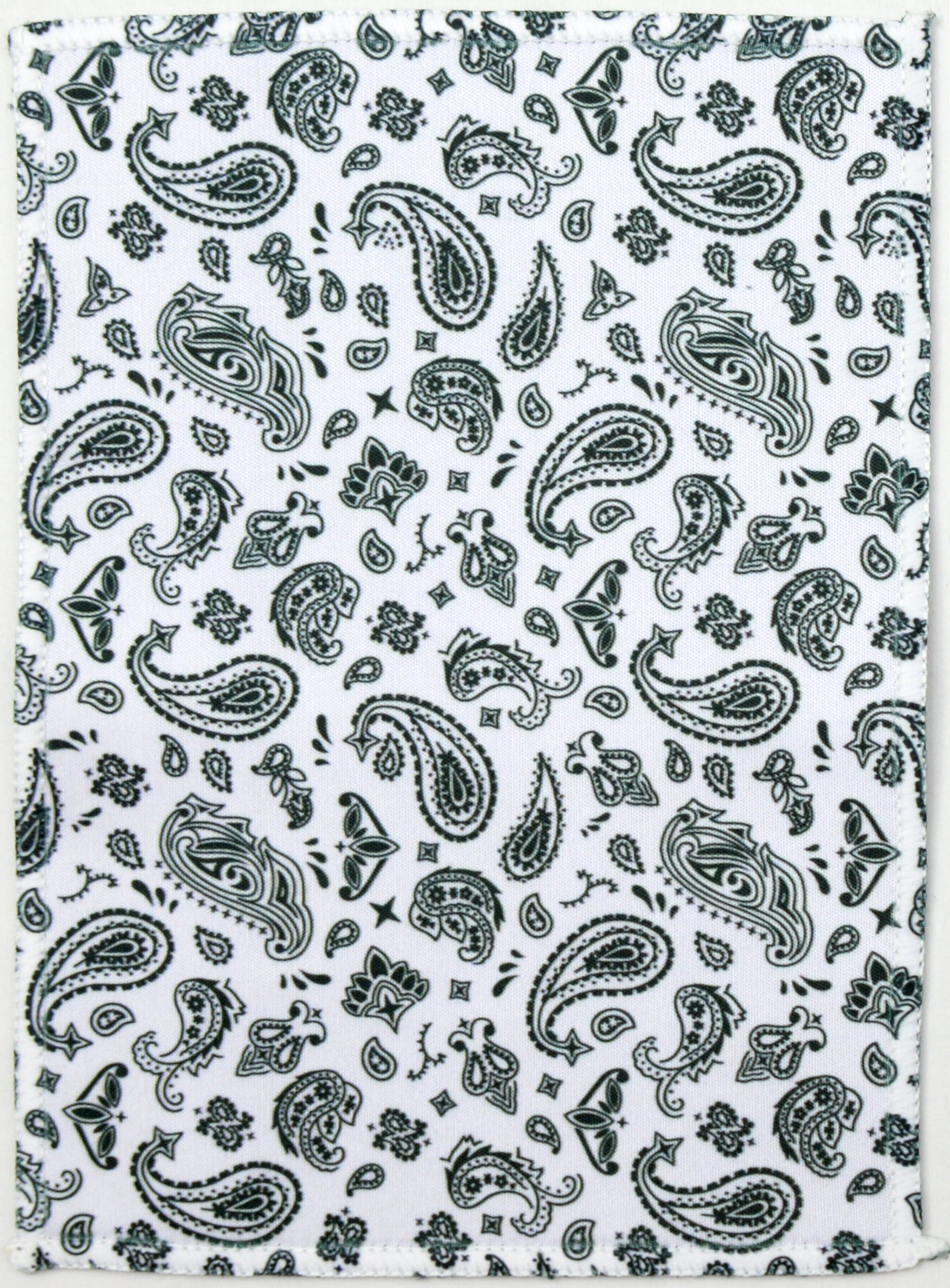 files/5x7_paisley.jpg