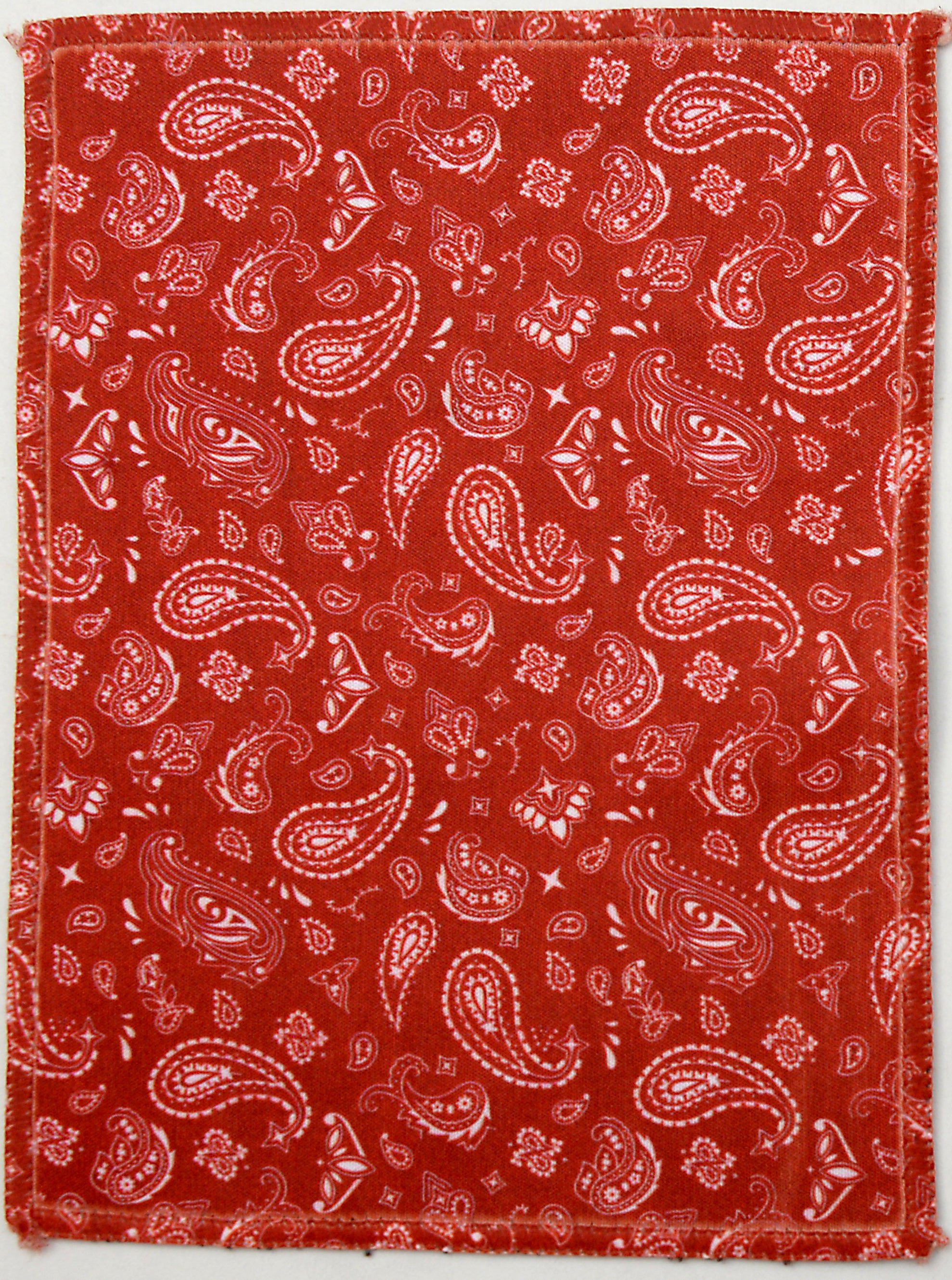 files/5x7_red_paisley.jpg