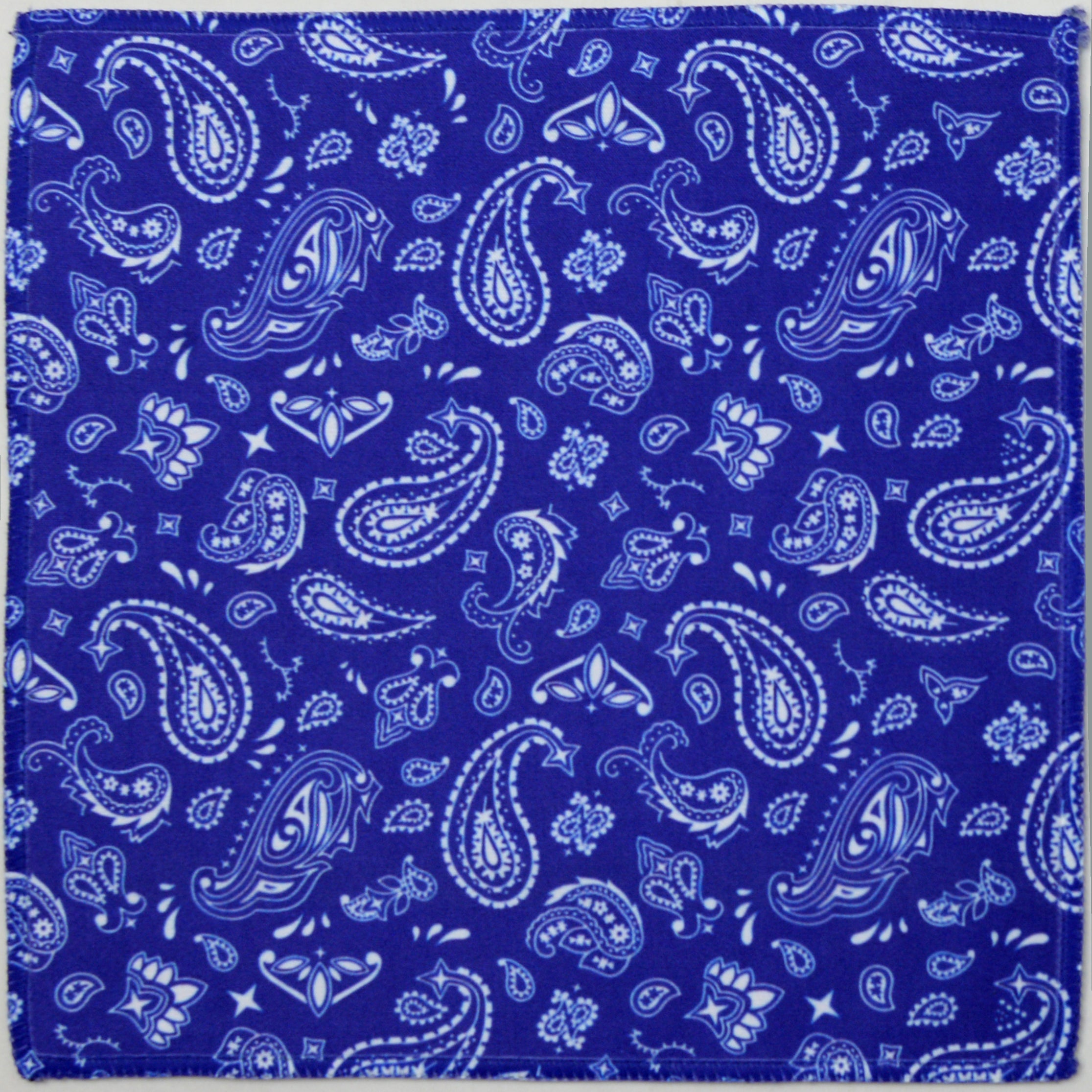 files/8x8_blue_paisley.jpg