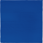 16” x 16” Economy All Purpose Microfiber Towels TEST - DO NOT DELETE