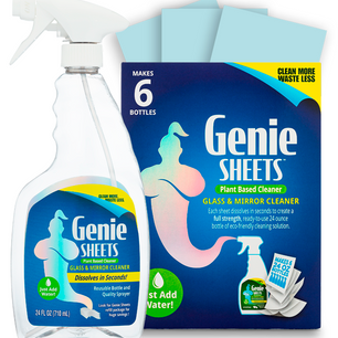 Glass Cleaning Kit