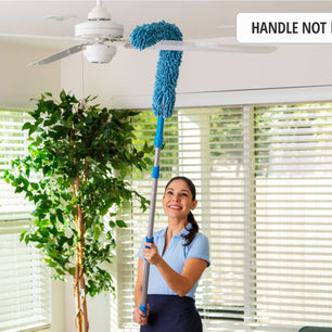 extension pole duster